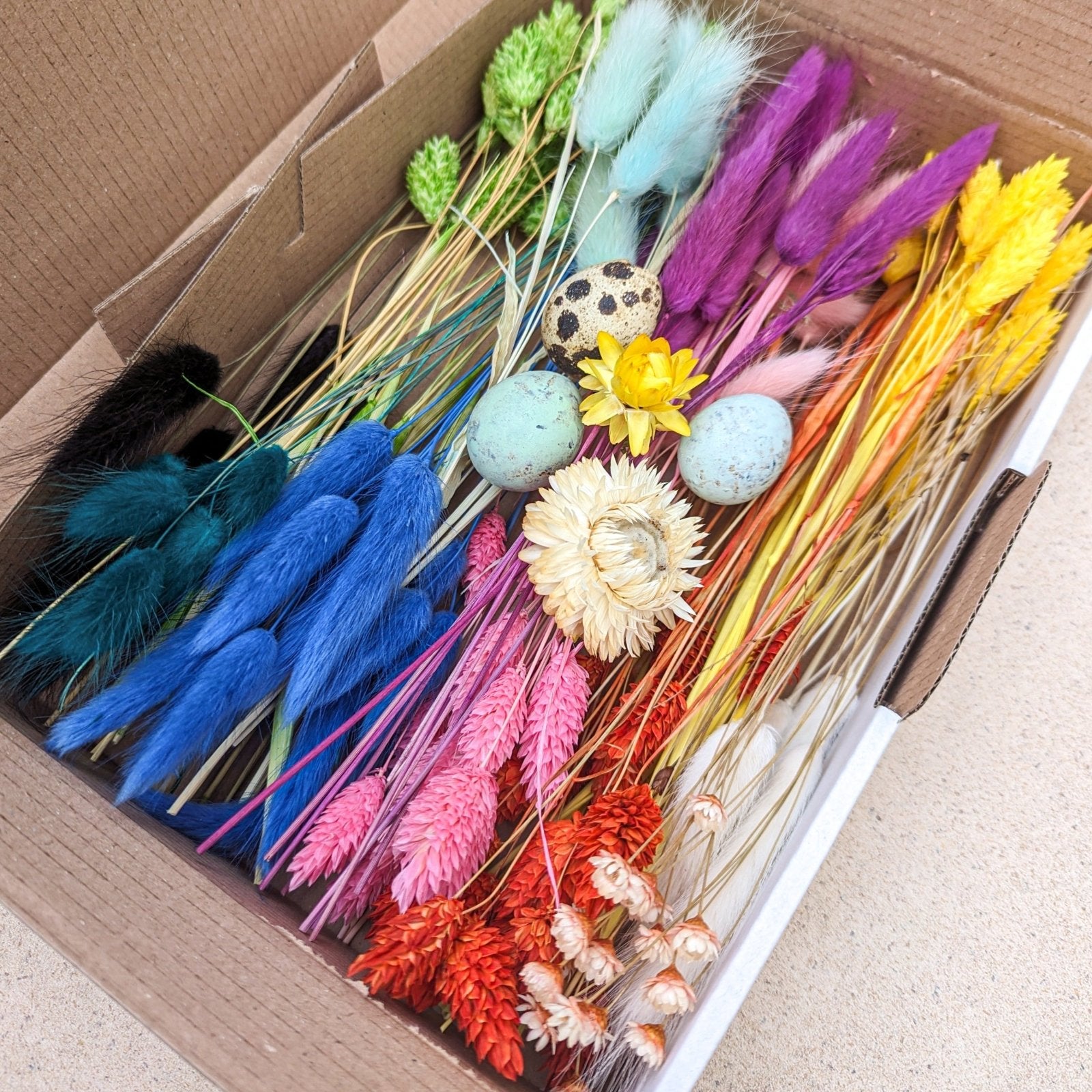 Trockenblumen BloomyBox Regenbogen Bunt Deko DIY – DekoPanda