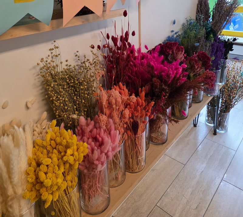 Offener Kreativworkshop für Kids 27.09.25 -  Trockenblumenkranz basteln in Hennef