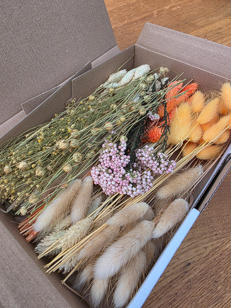 Trockenblumen Box Natur Orange