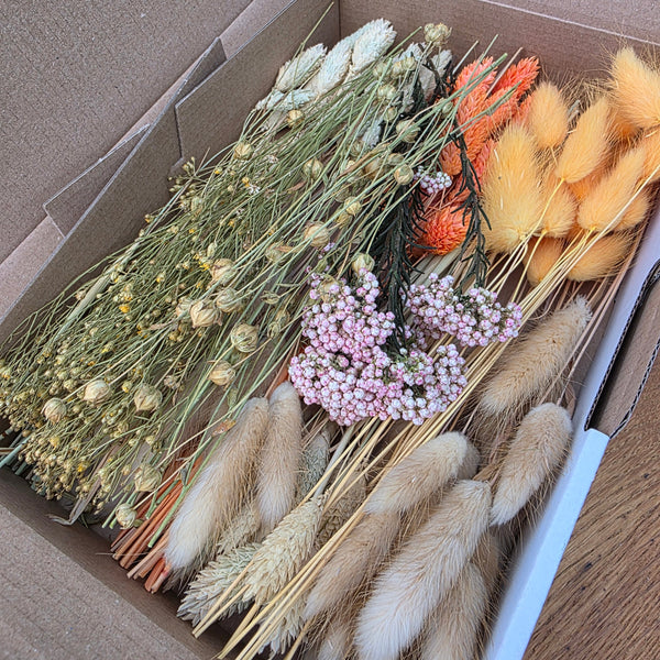 Trockenblumen Box Natur Orange