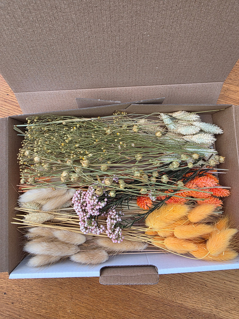 Trockenblumen Box Natur Orange