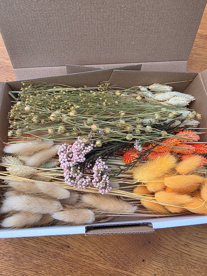 Trockenblumen Box Natur Orange