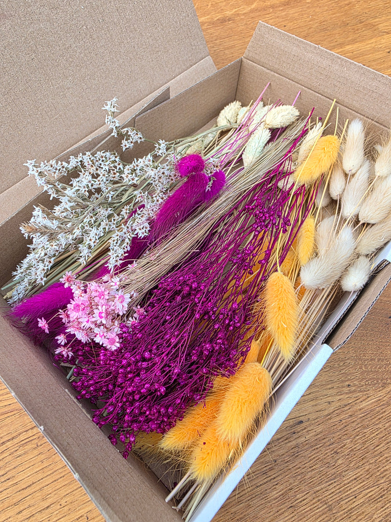 Trockenblumen Box Orange Lila