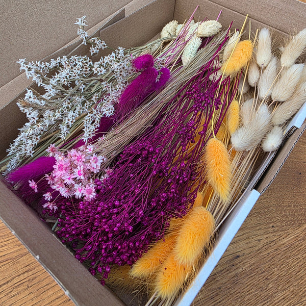 Trockenblumen Box Orange Lila