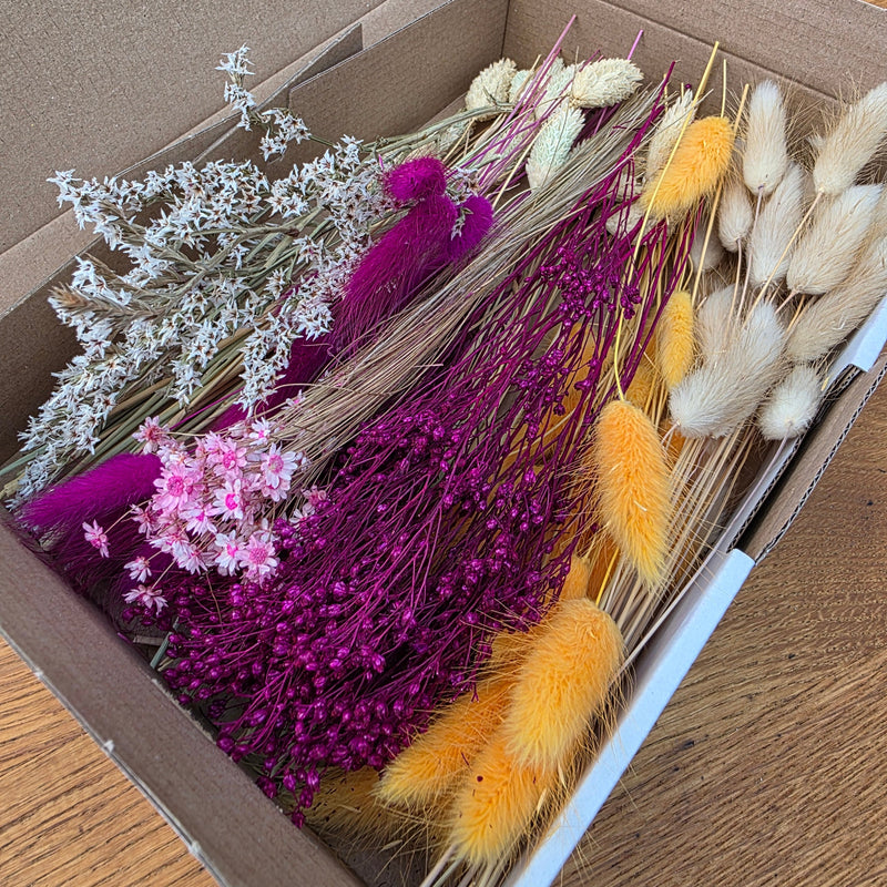 Trockenblumen Box Orange Lila
