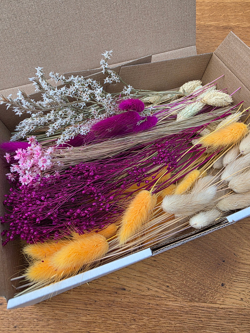 Trockenblumen Box Orange Lila