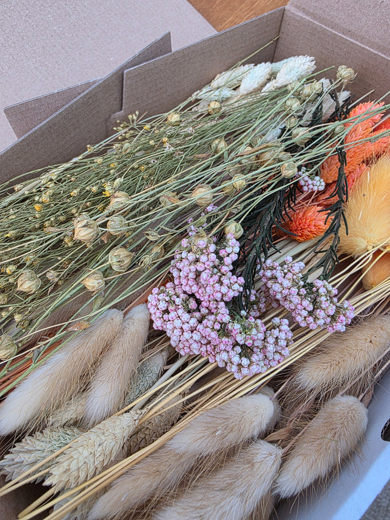 Trockenblumen Box Natur Orange