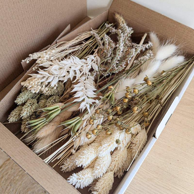 Trockenblumen BloomyBox Pur in warmen Naturtönen – DekoPanda
