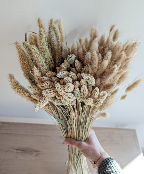 Trockenblumen Bundle Großpackungen "Natur" - DekoPanda