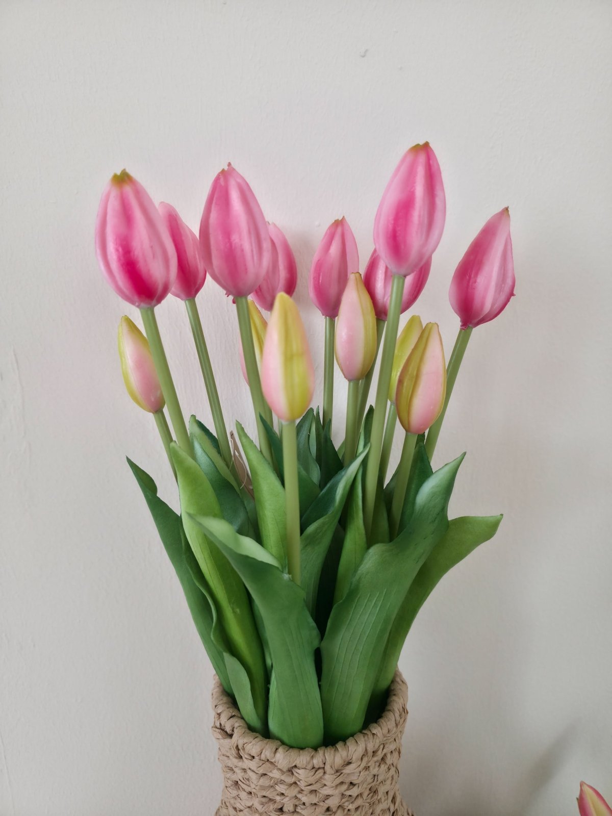 Tulpenbund künstlich