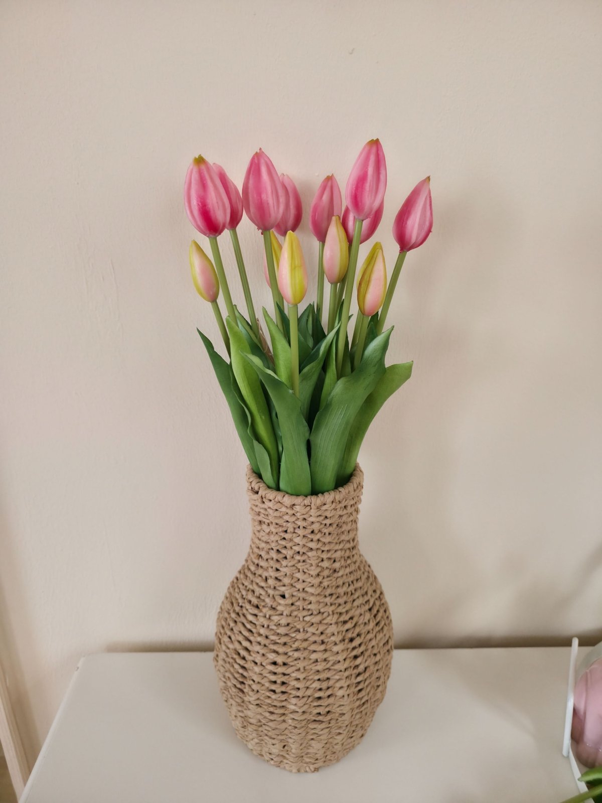 Tulpenbund künstlich