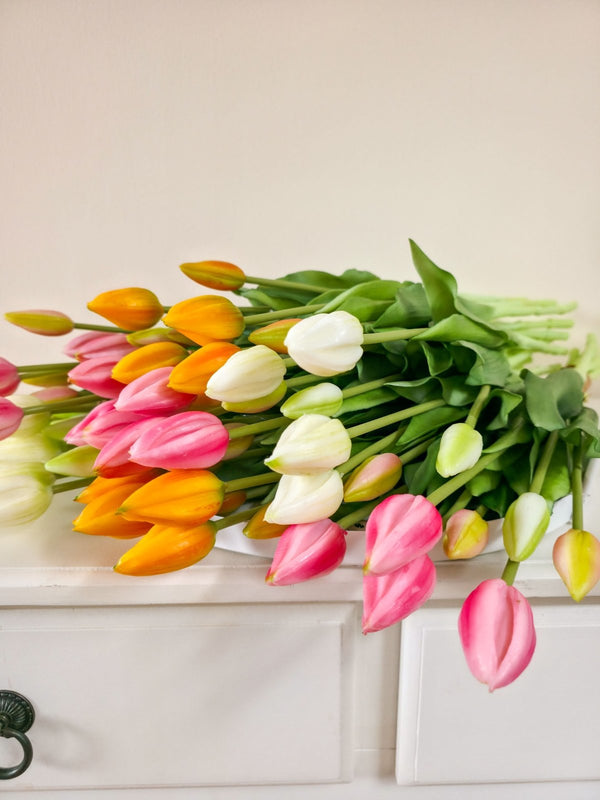 Tulpenbund künstlich