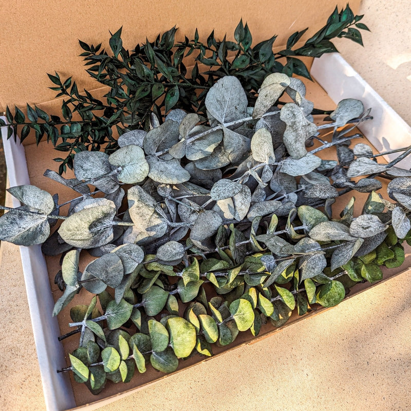 Blumenbox Eukalyptus "Greenery" Sortenmix - DekoPanda