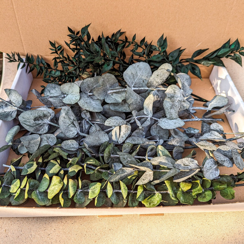 Blumenbox Eukalyptus "Greenery" Sortenmix - DekoPanda