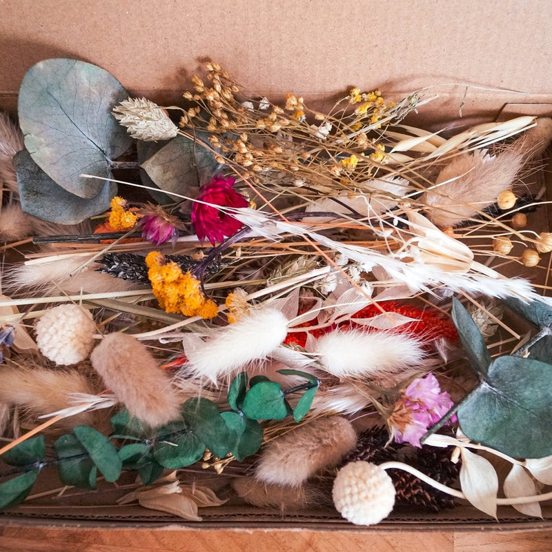 Trockenblumen Mix Wundertüte Deko – DekoPanda