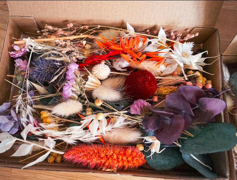 Trockenblumen Mix Wundertüte Deko – DekoPanda