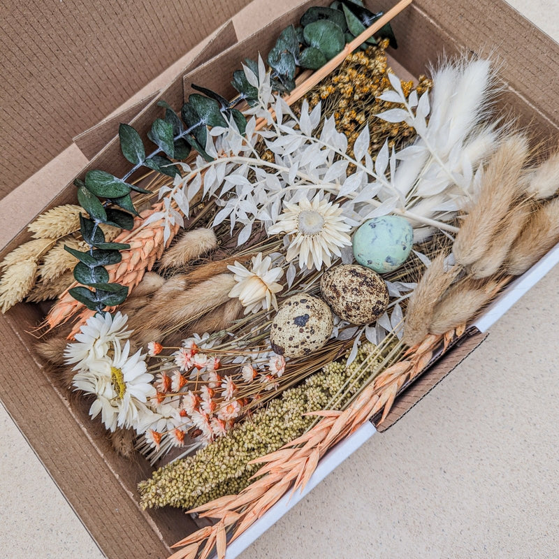 Trockenblumen loomyBox Coral Natur Eukalyptus DIY Set Deko – DekoPanda