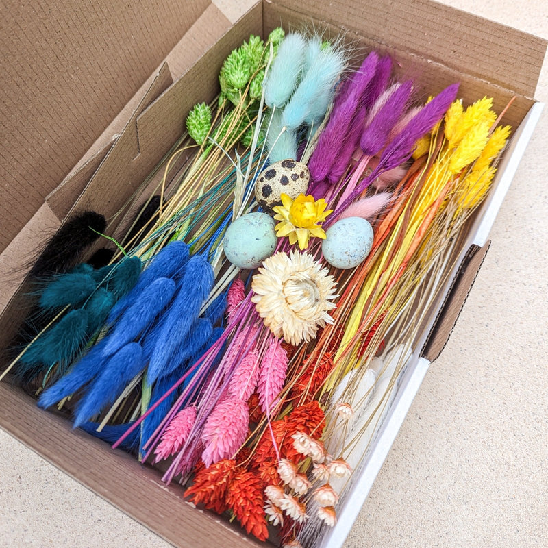 Trockenblumen BloomyBox Regenbogen Bunt Deko DIY – DekoPanda