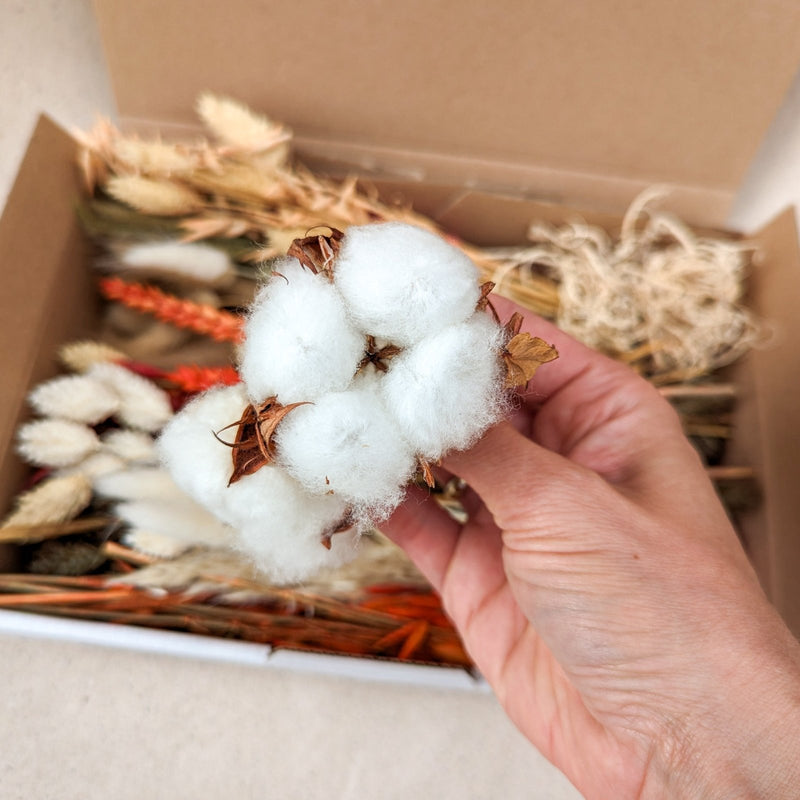 Trockenblumen Herbstbox DIY Material - DekoPanda
