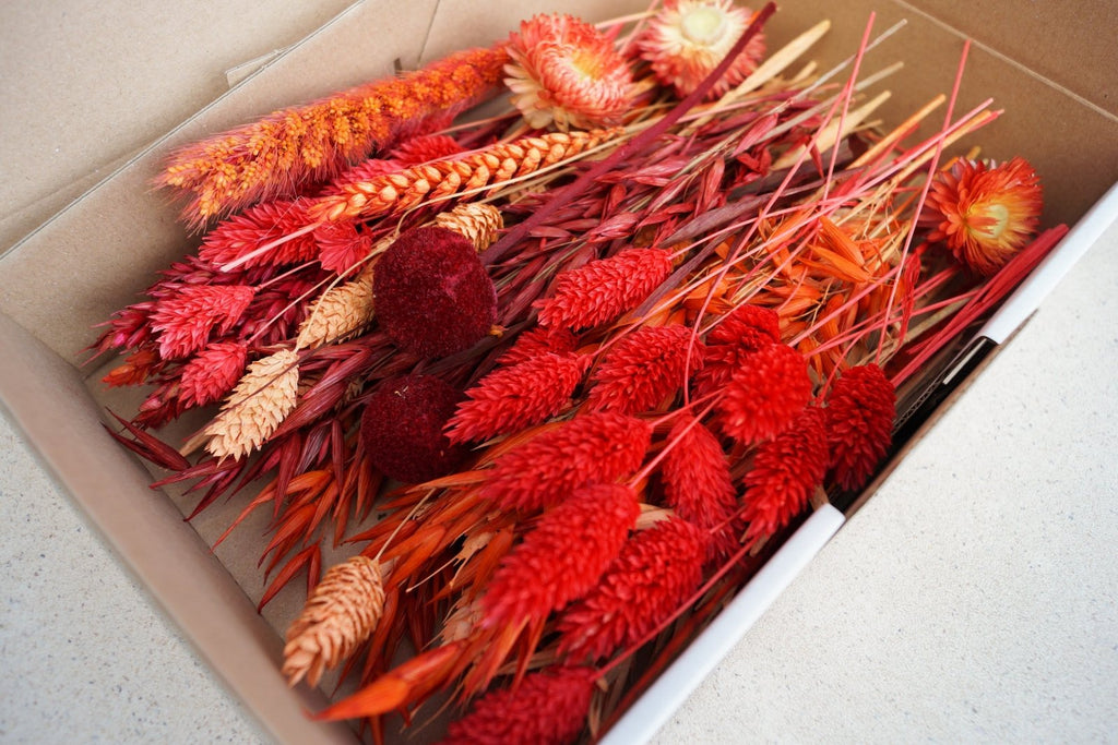 Trockenblumen BloomyBox Orange Rot DIY Set Deko – DekoPanda
