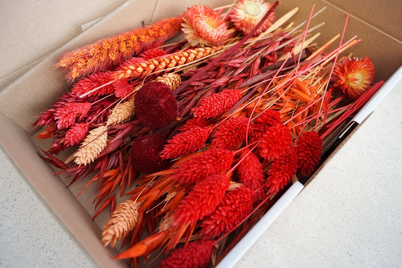 Trockenblumen BloomyBox Orange Rot DIY Set Deko – DekoPanda
